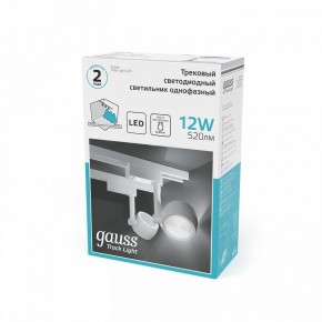 Светильник на штанге Gauss Track Light TR054 в Лабытнанги - labytnangi.ok-mebel.com | фото 5