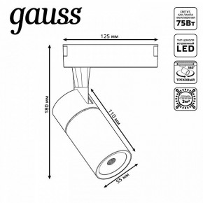 Светильник на штанге Gauss Track Light TR060 в Лабытнанги - labytnangi.ok-mebel.com | фото 5