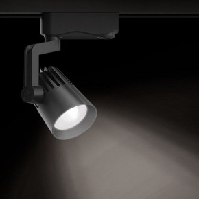 Светильник на штанге Gauss Track Light TR061 в Лабытнанги - labytnangi.ok-mebel.com | фото 2