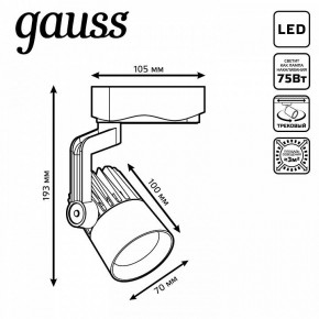 Светильник на штанге Gauss Track Light TR061 в Лабытнанги - labytnangi.ok-mebel.com | фото 6