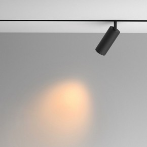 Светильник на штанге Maytoni Artisan TR097-2-12W2.7K-M-BB в Лабытнанги - labytnangi.ok-mebel.com | фото 4