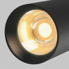 Светильник на штанге Maytoni Artisan TR097-2-12W2.7K-M-BB в Лабытнанги - labytnangi.ok-mebel.com | фото 9