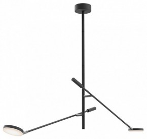 Светильник на штанге Maytoni Fad MOD070CL-L15B3K1 в Лабытнанги - labytnangi.ok-mebel.com | фото