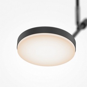 Светильник на штанге Maytoni Fad MOD070CL-L8B3K в Лабытнанги - labytnangi.ok-mebel.com | фото 4