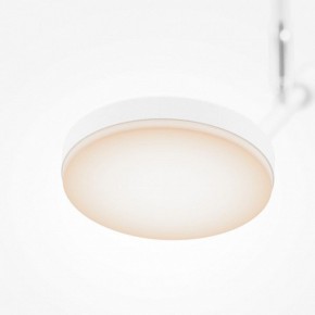 Светильник на штанге Maytoni Fad MOD070CL-L8W3K в Лабытнанги - labytnangi.ok-mebel.com | фото 4