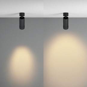 Светильник на штанге Maytoni Focus Zoom C055CL-L12W2.7K-Z-B в Лабытнанги - labytnangi.ok-mebel.com | фото 3
