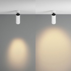 Светильник на штанге Maytoni Focus Zoom C055CL-L12W2.7K-Z-W в Лабытнанги - labytnangi.ok-mebel.com | фото 3