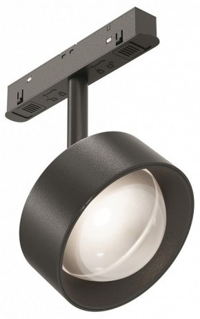 Светильник на штанге Maytoni Lens TR217-2-15W4K-B в Лабытнанги - labytnangi.ok-mebel.com | фото