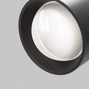 Светильник на штанге Maytoni Lens TR217-2-15W4K-B в Лабытнанги - labytnangi.ok-mebel.com | фото 10