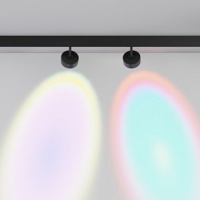 Светильник на штанге Maytoni Lens TR217-2-15W4K-B в Лабытнанги - labytnangi.ok-mebel.com | фото 6