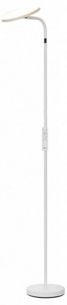 Торшер Citilux SOLO CL804060 в Лабытнанги - labytnangi.ok-mebel.com | фото