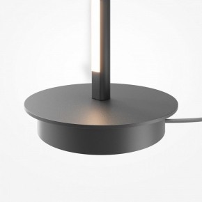 Торшер Maytoni Thin MOD395FL-L28B3K в Лабытнанги - labytnangi.ok-mebel.com | фото 8
