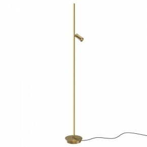 Торшер Maytoni Thin MOD395FL-L28BS3K в Лабытнанги - labytnangi.ok-mebel.com | фото