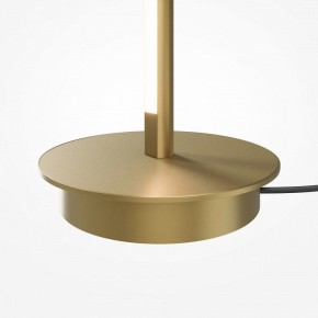 Торшер Maytoni Thin MOD395FL-L28BS3K в Лабытнанги - labytnangi.ok-mebel.com | фото 7