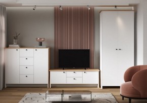 Тумба под ТВ Теодора в Лабытнанги - labytnangi.ok-mebel.com | фото 4