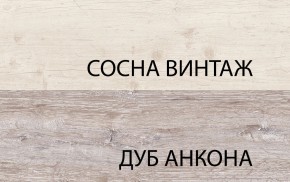 Тумба RTV 1D2SN, MONAKO, цвет Сосна винтаж/дуб анкона в Лабытнанги - labytnangi.ok-mebel.com | фото 3