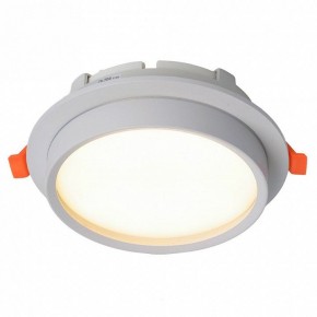 Встраиваемый светильник Feron DL704 51105 в Лабытнанги - labytnangi.ok-mebel.com | фото 2