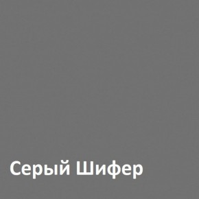 Юнона Шкаф торцевой 13.221 в Лабытнанги - labytnangi.ok-mebel.com | фото 2